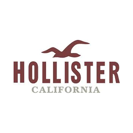 Hollister Co. Outlet